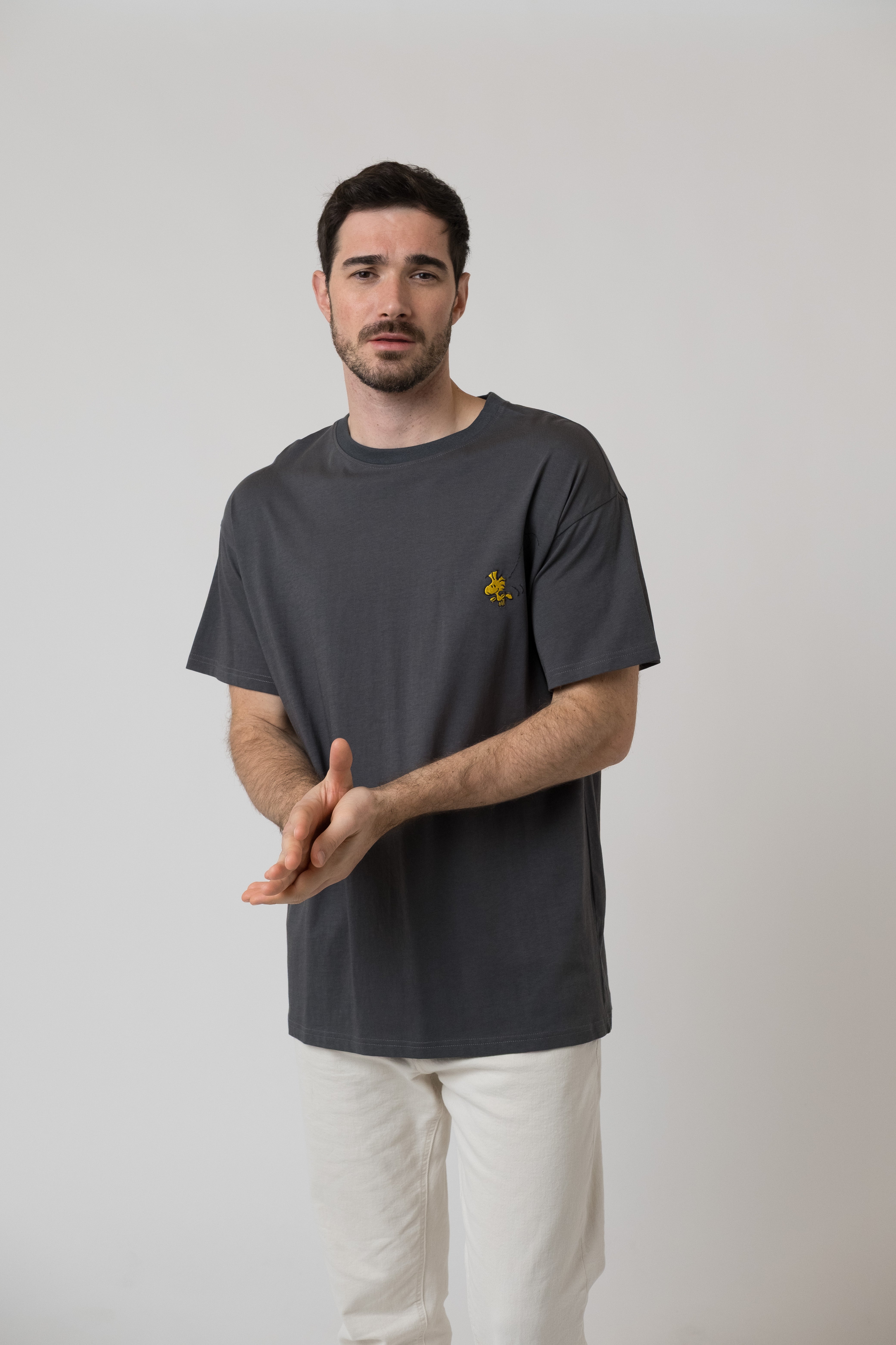 T-Shirt "Peanuts: Ned mid mir" - dunkelgrau