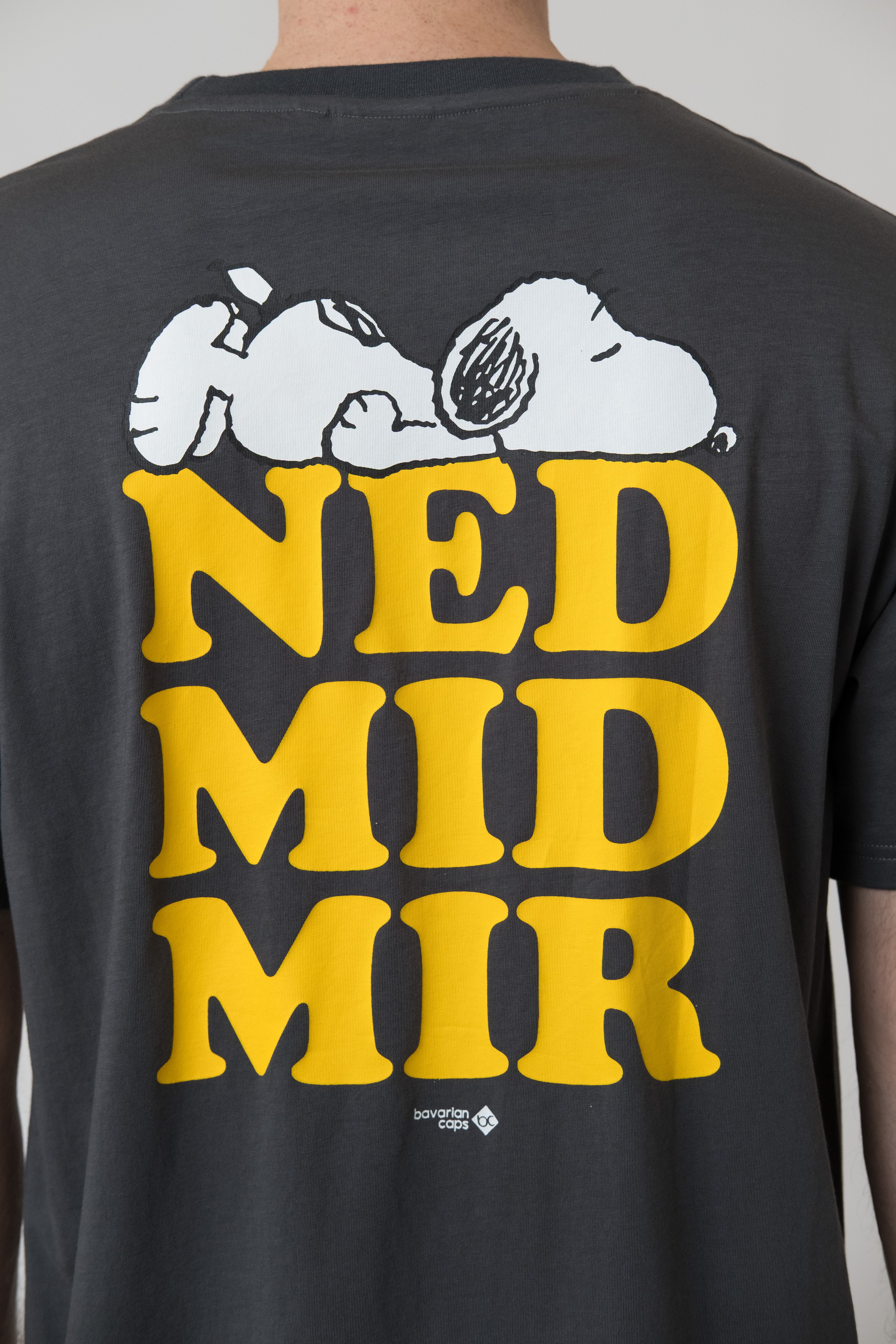 T-Shirt "Peanuts: Ned mid mir" - dunkelgrau