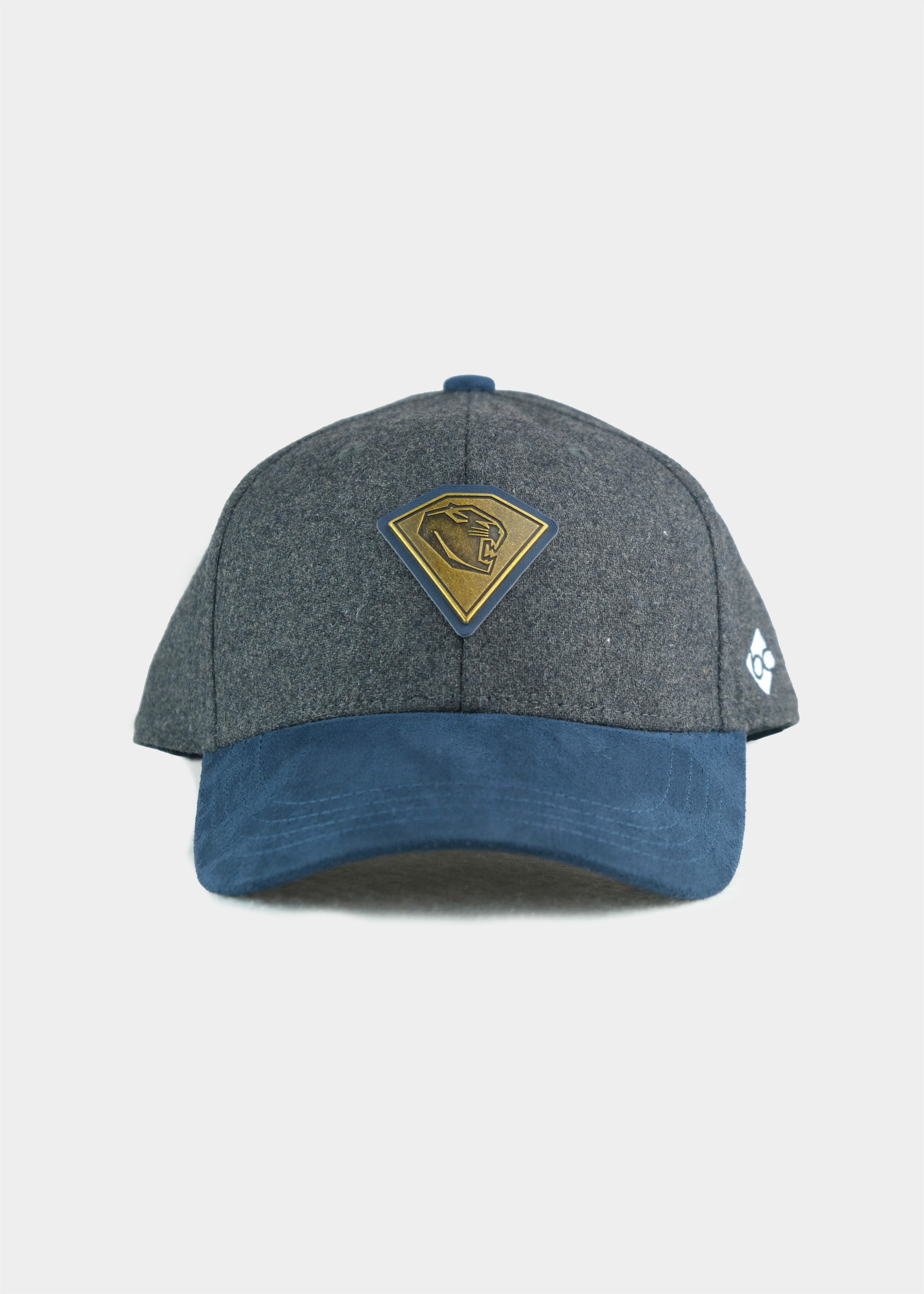 Cap "ERC Ingolstadt" - dunkelgrau (Curved)