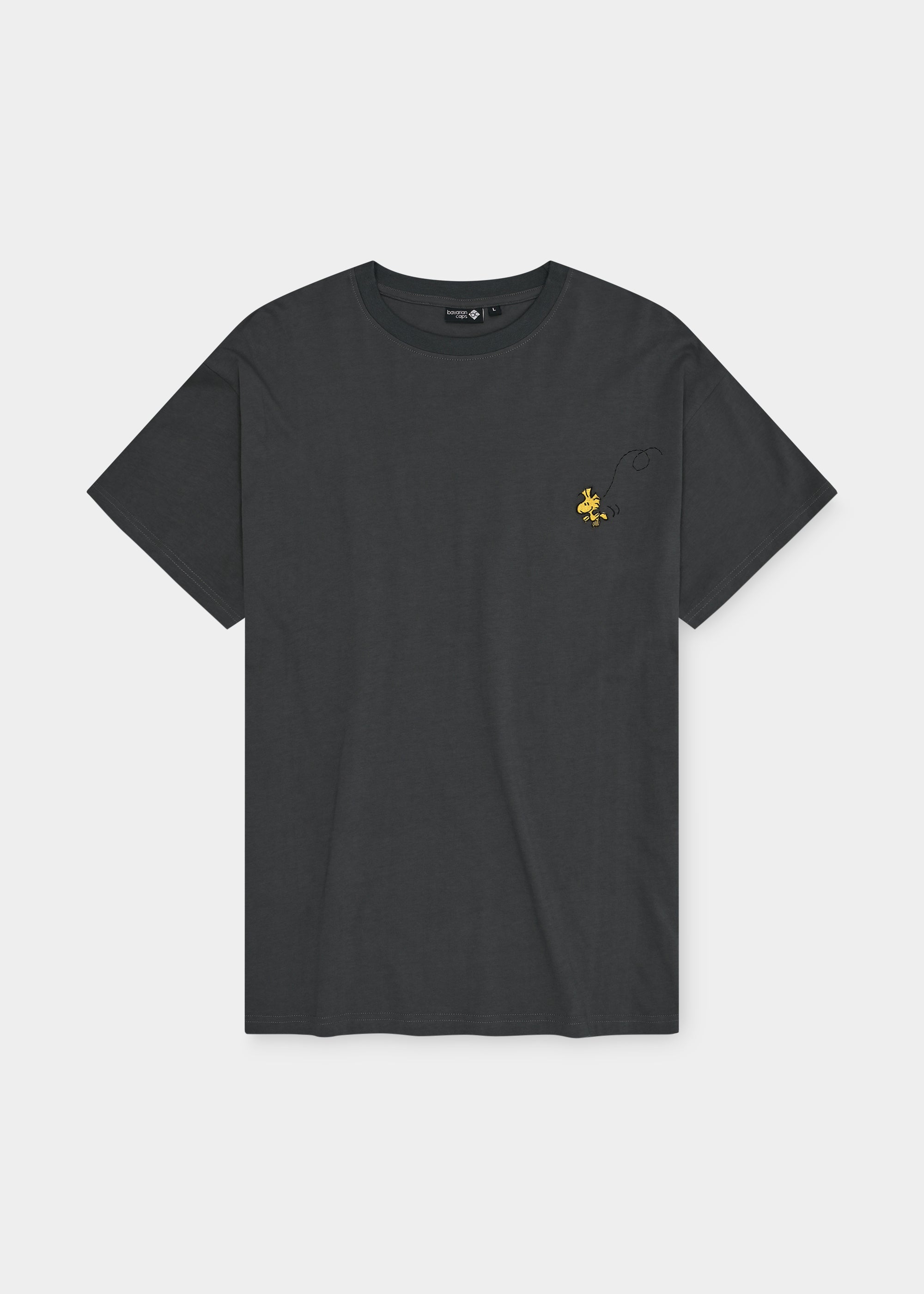 T-Shirt "Peanuts: Ned mid mir" - dunkelgrau