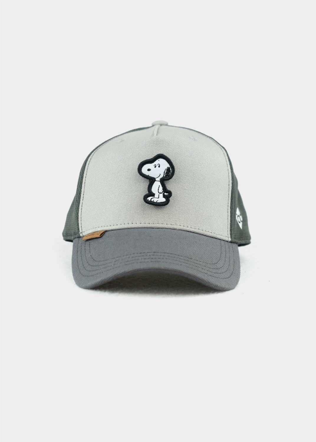 Cap "Peanuts Transformer" - grau (Curved)