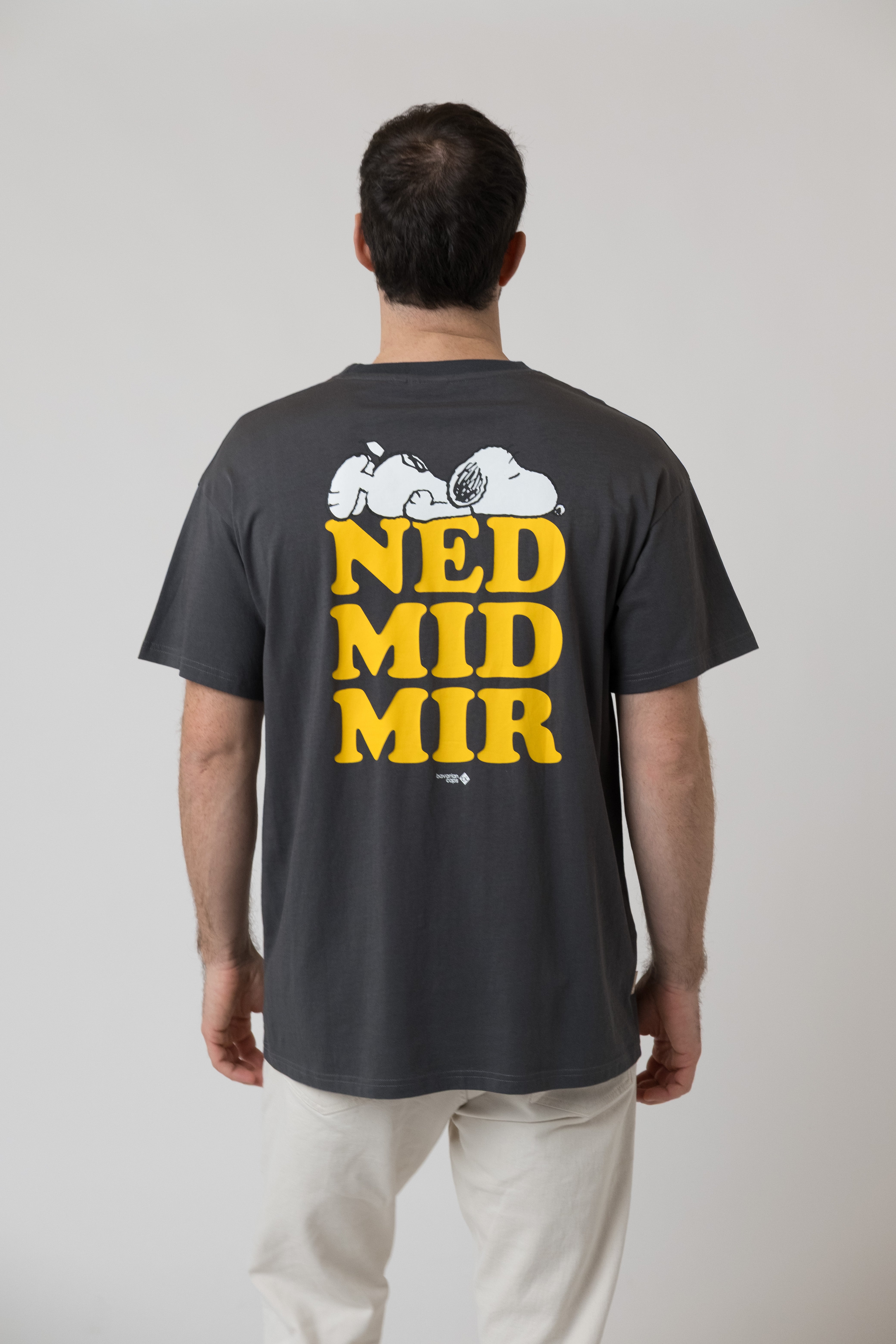 T-Shirt "Peanuts: Ned mid mir" - dunkelgrau