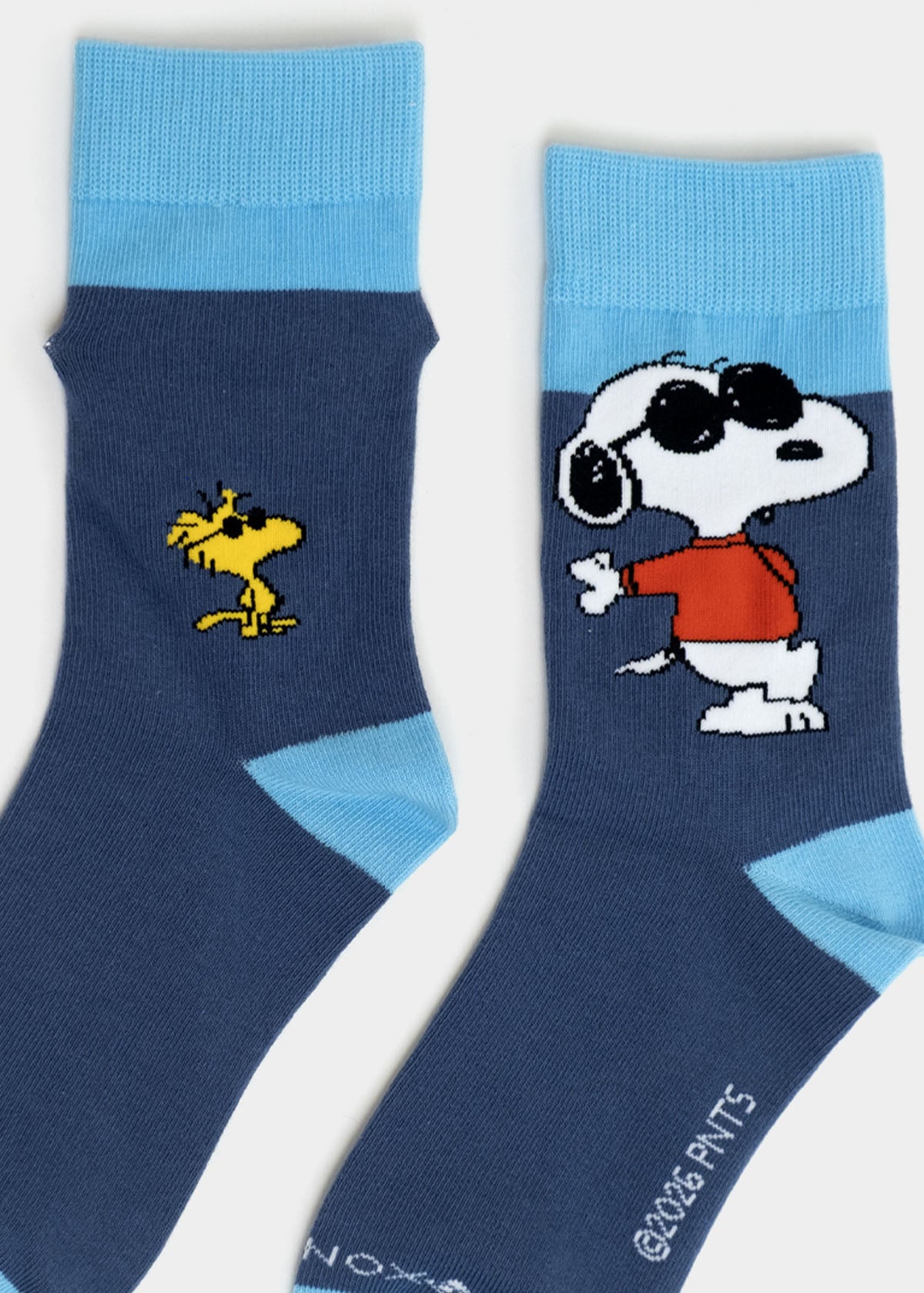 Sockenbox "Peanuts: Bergfest"